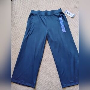 NWT womens TIME AND TRU Blu Capris, Size L